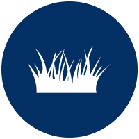 grass icon
