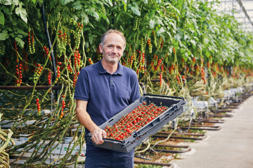 Lidl produce